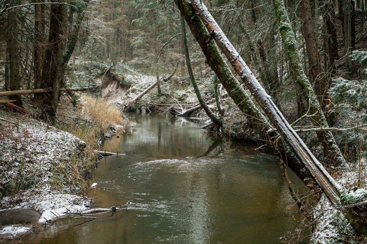 IZDZĪVOTĀJS PUIŠIEM (07.12.-10.12.2023, PĀVILOSTĀ)