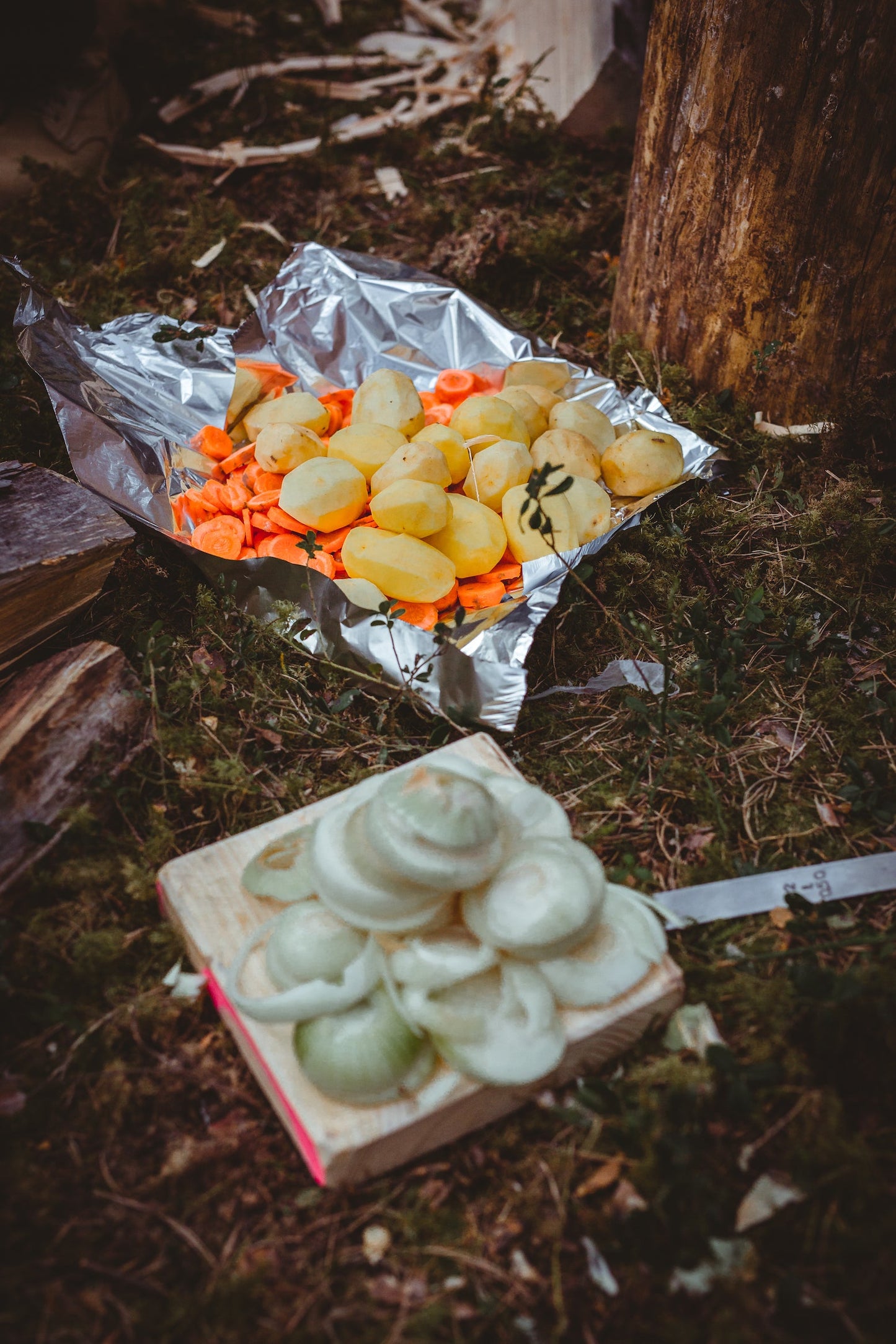TĒVU UN MEITU PIEDZĪVOJUMU NOMETNE “ATTIECĪBU FESTIVĀLS” (18.05.-19.05.2024, PĀVILOSTĀ)