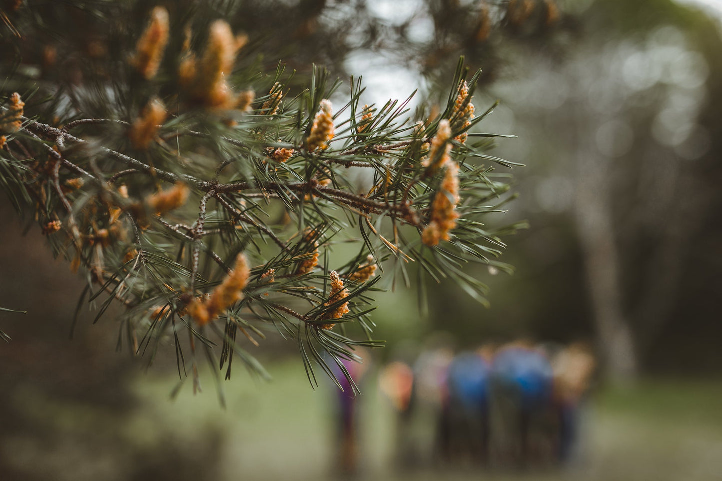 Jaunums! TĒVU UN DĒLU PIEDZĪVOJUMU PĀRGĀJIENS (17.05.2026, Baldone)